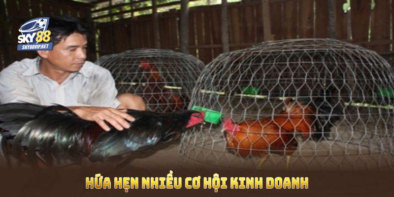 Gà linh kê thần kê hứa hẹn nhiều cơ hội kinh doanh nhưng cũng nhiều tranh cãi